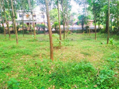 Residential Land For Sale at Kothamangalam, Ernakulam