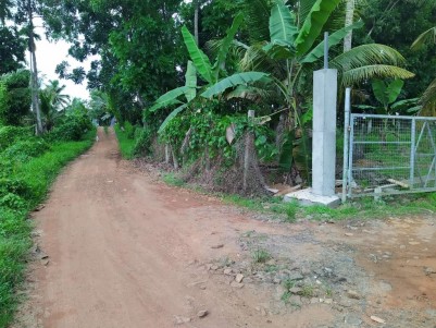37 Cents of Water Front Property for Sale at Kainady, Alappuzha