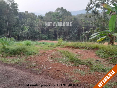 Residential Land for Sale at Alakode, Kannur 