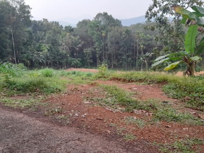 Residential Land for Sale at Alakode, Kannur 