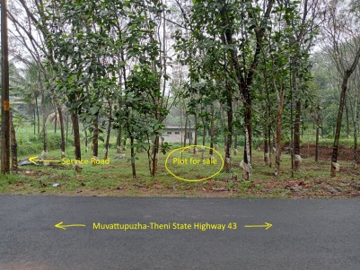 25 Cents of Prime Residential Land for Sale at Kodikulam near Thodupuzha, Idukki