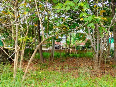 10 Cents of Residential Plot for Sale at Pathadipalam, Ernakulam
