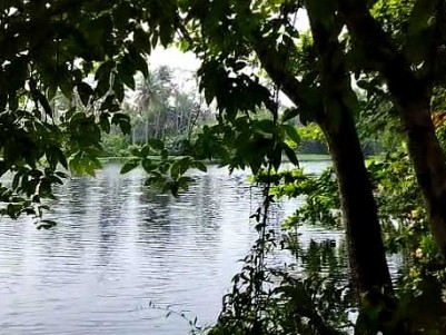45 Cents of Waterfront Property for Sale at Koonammavu, Ernakulam