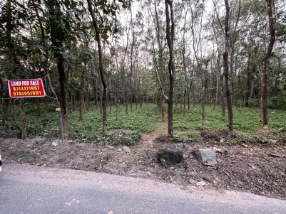 42 Cents of Residential Land for Sale at Perumbavoor, Ernakulam 