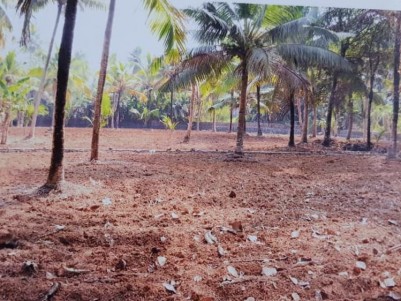 48 Cents of Residential Land (Purayidom) for Sale at Kurichy Outpost Junction, Kottayam