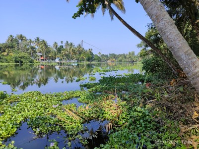70 Cents of Waterfront Land for Sale at Koonammavu, Ernakulam