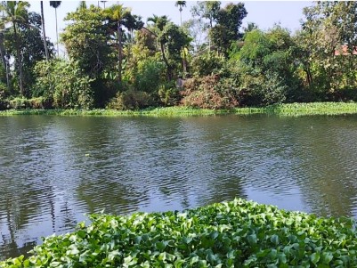 70 Cents of Waterfront Land for Sale at Alangad, Ernakulam