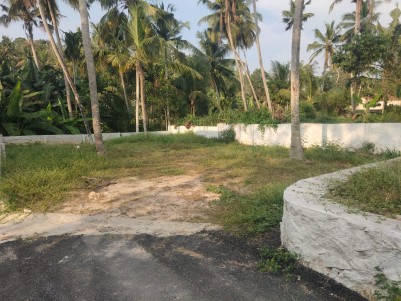 4.6 Cents of Residential Land for Sale at Kazhakkoottam, Trivandrum