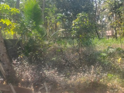 20 Cents of Residential Land for Sale at Kazhakkoottam, Trivandrum  