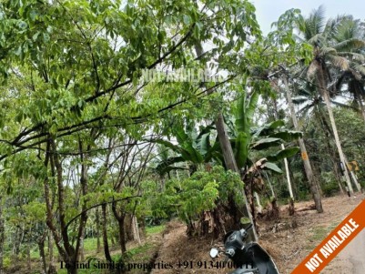 56 Cents of Square Plot for Sale at Ramapuram, Pala, Kottayam
