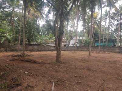 11 Cents of Residential Land for Sale at Pullannivila, Trivandrum