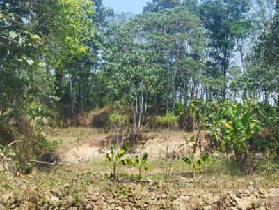 10 Cents of Residential Land for Sale at Palachuvadu, Piravom, Ernakulam