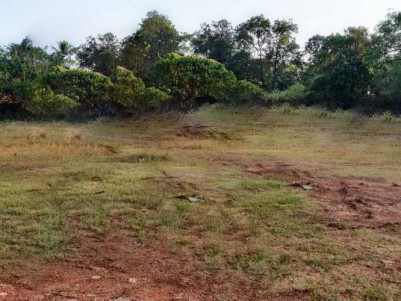 Prime Residential Land for Sale at Madathara, Kollam