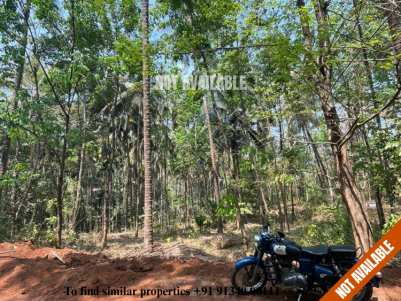 98 Cents of Residential Plot for Sale at Nellipara, Alakode, Kannur