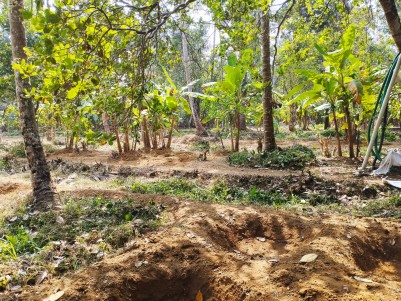 Prime Residential Land for Sale at Moolamkudam, Kodakara, Thrissur