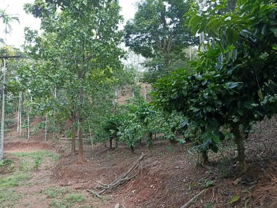 Prime Residential Land for Sale at Mananthavady, Wayanad 