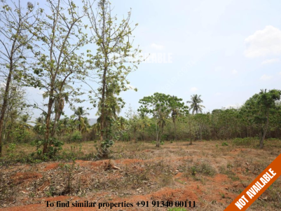 Land for Sale at Ottapalam, Maniserry, Palakkad
