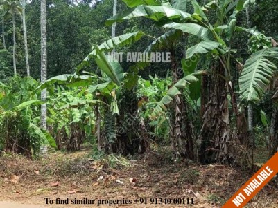 Prime Land for Sale at Karukachal, Kottayam