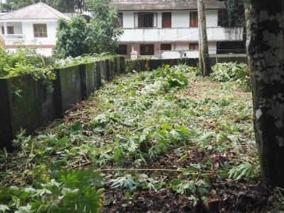 14.25 Cents of Residential Plot for Sale at Thiruvalla, Muthoor, Pathanamthitta