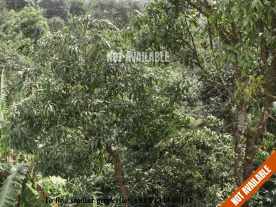 Agricultural Land For Sale At Anappallam, Upputhara, Idukki