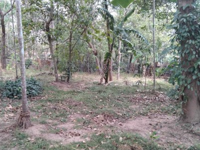 Prime Residential and Commercial Land for Sale at Alencheri Junction, Anchal, Kollam
