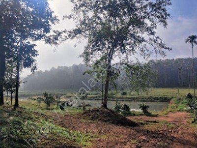 Land for Sale at Kenichira, Wayanad