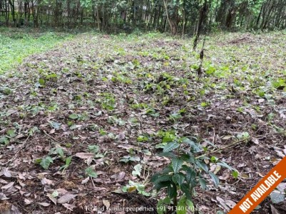 40 Cents of Residential Land for Sale at Kizhakkambalam, Ernakulam  