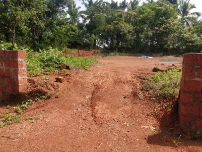 11.65 Cents of Residential Land for Sale at Mattanur, Kannur