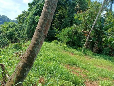2Acre Flood free Land for sale(400ft Periyar river Frontage)