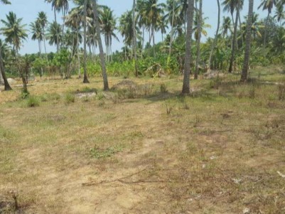 Agriculture land for sale.