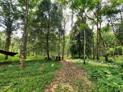 5 Acres of Land with Traditional House for Sale at Bharananganam, Kottayam
