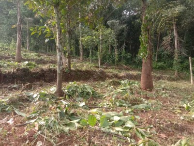 Land for Sale at Moonilavu, Kottayam