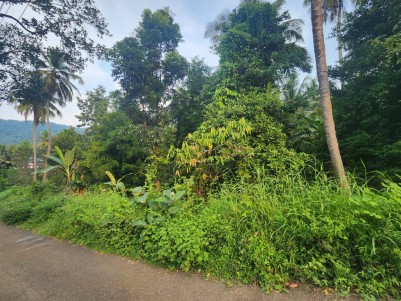 1 Acre of Residential cum Commercial Land for Sale at Vazhukkumpara, Thrissur
