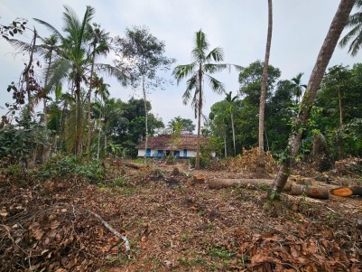  Land for Sale at Perinjanam, Thrissur