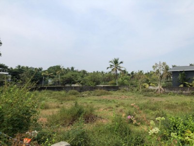 20 Cents of Original Land for Sale at Maradu, Ernakulam