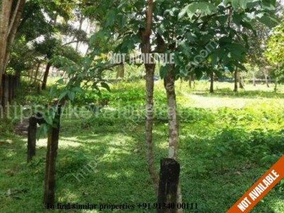 Residential Plot for Sale in Mullappally, Cherthala, Alappuzha
