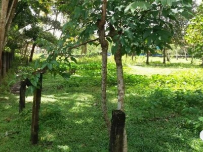 33 Cents of Residential Plot for Sale in Mullappally, Cherthala, Alappuzha