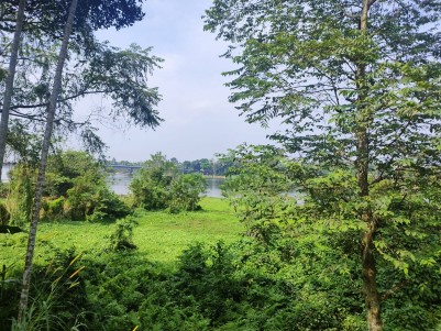 47 Cents of Waterfront Property for Sale at Marampilly, Aluva, Ernakulam