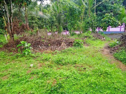 84 Cents of Residential Land for Sale at Ranni, Pathanamthitta