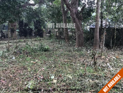 Residential Land for Sale at Pattambi, Palakkad