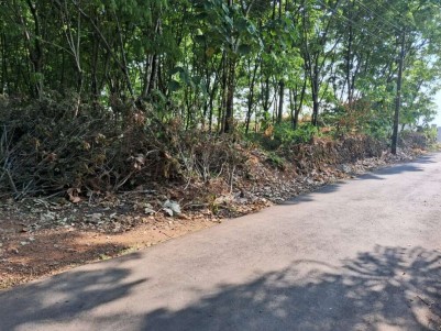 2.41 Acre of Residential Land for Sale at Pallikkara, Ernakulam
