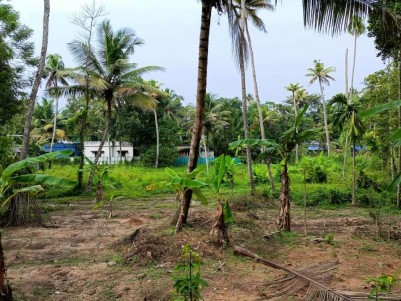 Residential Land for Sale at Mayyanad, Kollam