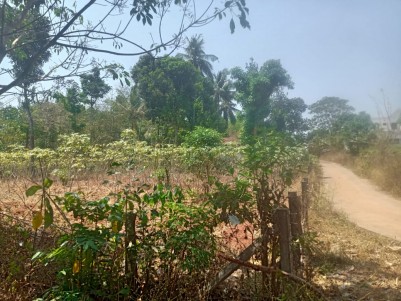 28 Cents of Prime Residential Land for Sale at Mannarkkad, Palakkad