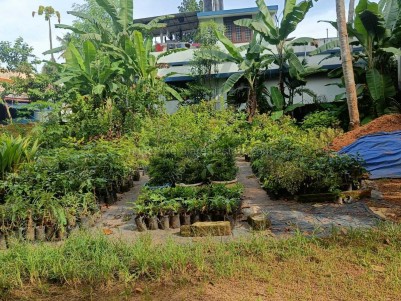 Land for Sale in Udayamperoor, Thripunithura, Ernakulam 