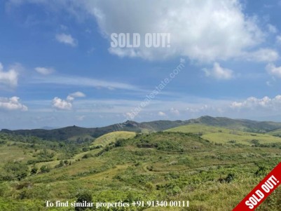 Beautiful Land for Sale in Vagamon Adventure Park, Kottayam