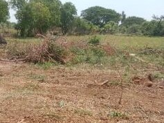Prime Residential Land (3 Plots) for Sale near Vadavathoor, Kottayam