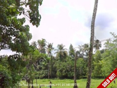 Land/ Plot for Sale in Karukutty, Angamaly, Ernakulam