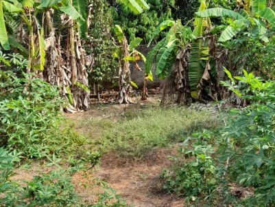 Land for Sale at Aimury, Near Perumbavoor, Ernakulam