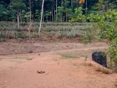 Land with House for Sale at Ranni, Pathanamthitta