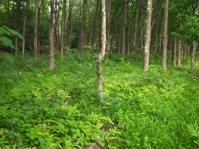 Land for Sale at Vazhakulam Muvattupuzha, Ernakulam